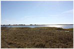 Vivesholm