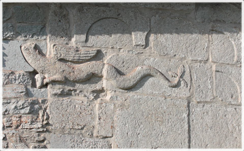 En huvudlös orm - Leviatan - foto: Bernt Enderborg