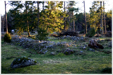 En kmpgrav vid Tuna i Viklau p Gotland