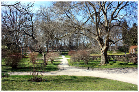Botaniska Trädgården - foto: Bernt Enderborg