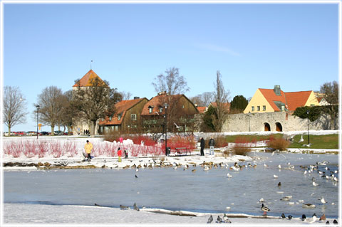 Gotland, Visby sevrdheter - foto: Bernt Enderborg