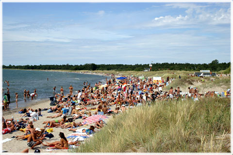 Gotland, Tofta strand - foto: Bernt Enderborg
