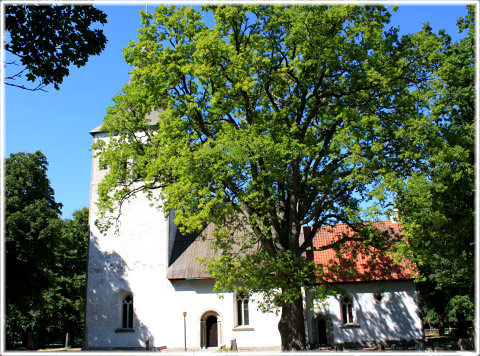 Buttle kyrka - foto: Bernt Enderborg