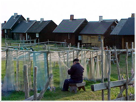Djupviks fiskeläge - foto: Bernt Enderborg