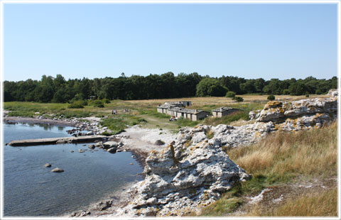 Gotland, Holms fiskeläge - foto: Bernt Enderborg