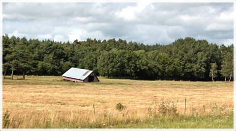 Gotland, Skenhelig jordbrukspolitik - foto: Bernt Enderborg