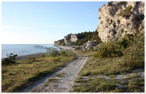 Gotland, Vägen utanför din dörr - foto: Bernt Enderborg