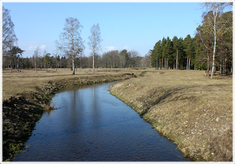 Ett vattendrag i Viklau