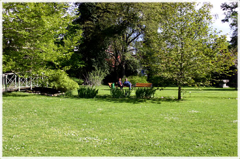 Ett andningshål - Botaniska trädgården - foto: Bernt Enderborg