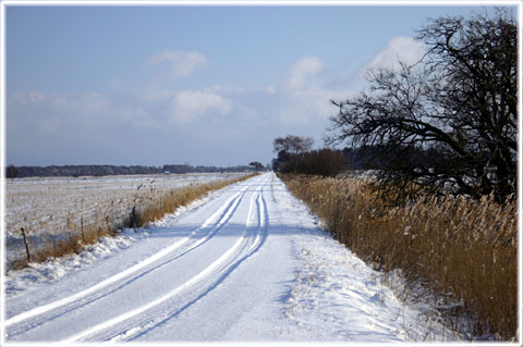 Vinter i världens vackraste land - foto: Bernt Enderborg