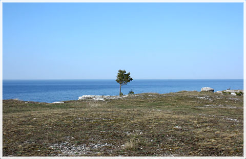 Gotland, Ståndpunkter för Gotlandstrafiken - foto: Bernt Enderborg